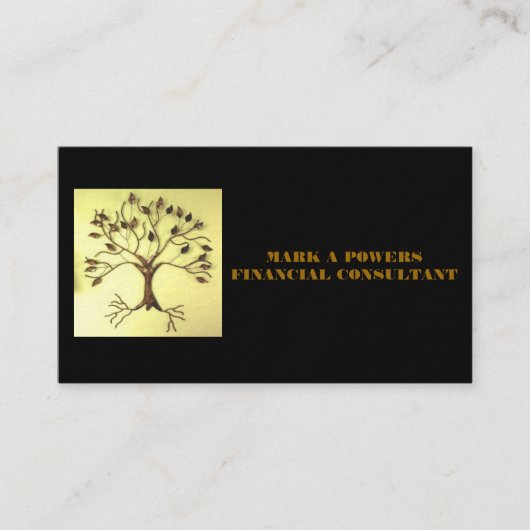 CARTES DE VISITE POUR LE CONSEILLER FINANCIER (Devant)