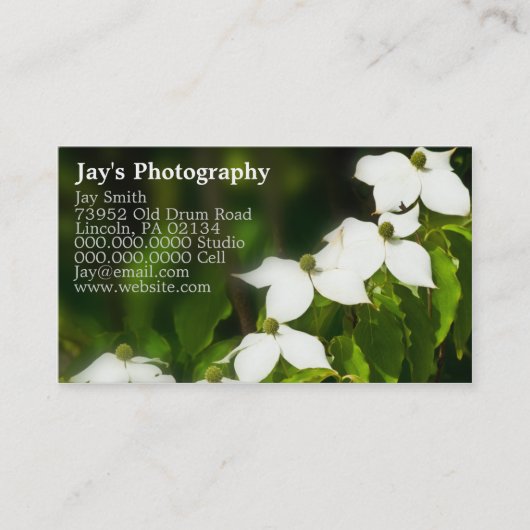 cartes de visite pour photographes (Devant)