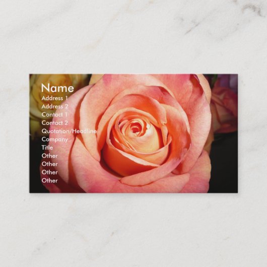 Cartes de visite roses (Devant)