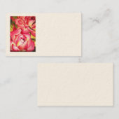 Cartes de visite roses de Hannah Gordon de Sacha (Devant / Derrière)