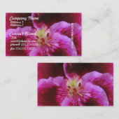 Cartes de visite roses de pensée (Devant / Derrière)