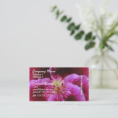 Cartes de visite roses de pensée (Debout devant)