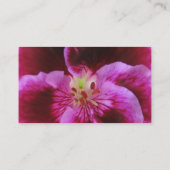 Cartes de visite roses de pensée (Dos)