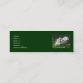 Cartes de visite Roses sauvages (Devant)