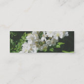 Cartes de visite Roses sauvages (Dos)