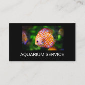 Cartes de visite sur le thème des poissons Discus (Devant)