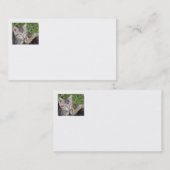 Cartes de visite Tabby Sisters (Devant / Derrière)
