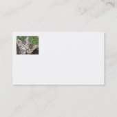 Cartes de visite Tabby Sisters (Dos)