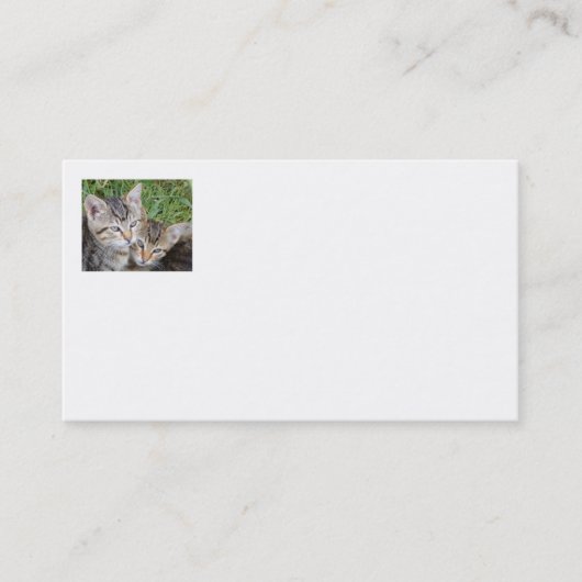 Cartes de visite Tabby Sisters (Devant)