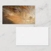 Cartes de visite tribaux chamaniques de l'aile de  (Devant / Derrière)