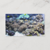 Cartes de visite tropicaux de poissons (Dos)