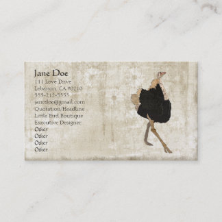 Cartes de visite vintages blancs d'autruche
