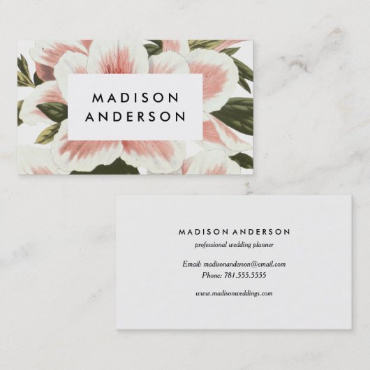 Cartes de visite vintages d'azalée (Devant / Derrière)