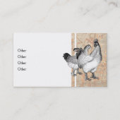Cartes de visite vintages de poulets (Dos)