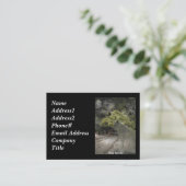 Cartes de visite WOLF Ghosts (Debout devant)