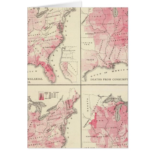 Cartes de vitalité des États-Unis (Devant)