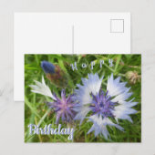 Cartes de vœu d'anniversaire Fleurs sauvages : Ble (Devant / Derrière)