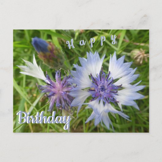Cartes de vœu d'anniversaire Fleurs sauvages : Ble (Devant)