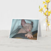 Cartes de voeux (Fleur jaune)