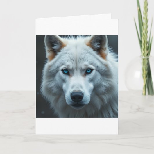 Cartes de vœux  (Devant)
