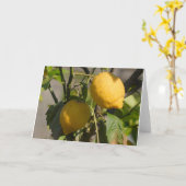 Cartes de voeux au citron espagnol (Fleur jaune)