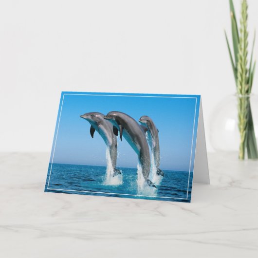 Cartes de vœux avec dauphins (Devant)