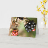 Cartes de vœux Baies d'Automne (Fleur jaune)