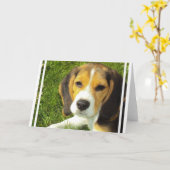 Cartes de voeux beagles (Fleur jaune)