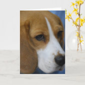 Cartes de voeux Beagles (Fleur jaune)