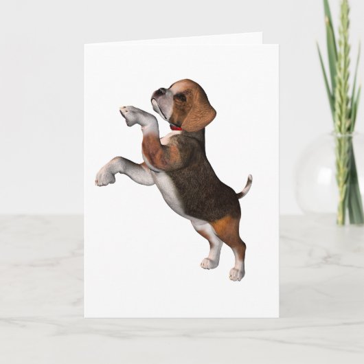 Cartes de voeux Beagles jouées (Devant)