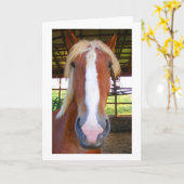 Cartes de voeux belges (Fleur jaune)