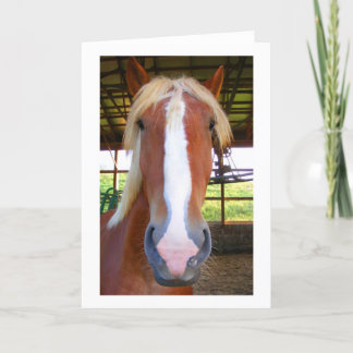 Cartes de voeux belges