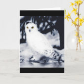 cartes de voeux blanches de hibou (Fleur jaune)