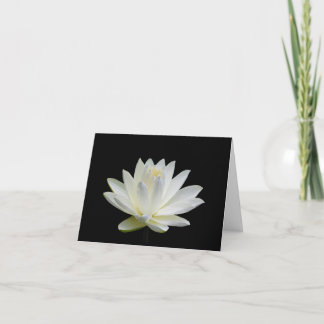 Cartes de vœux blanches grises avec nénuphar vierg