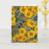 Cartes de voeux Brittlebush Flowers_personnalisabl (Fleur jaune)