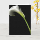 Cartes de vœux Calla Lilly (Fleur jaune)