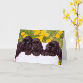 Cartes de voeux Cocker Spaniel (Fleur jaune)