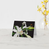 Cartes de voeux - Collection de Lys Artistique (Fleur jaune)