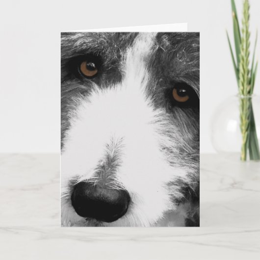 Cartes de voeux Collie Eyes (Devant)