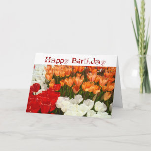 Cartes de vœux colorées pour anniversaire Tulipes