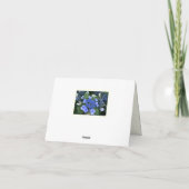 Cartes de vœux commémoratives Blue Hydrangea (Dos)