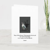 Cartes de voeux Corbeau blanc (Dos)