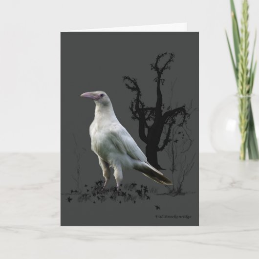Cartes de voeux Corbeau blanc (Devant)