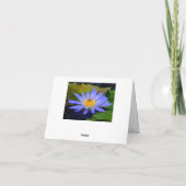 Cartes de vœux Cornflower Blue Big Water Lily Note (Dos)