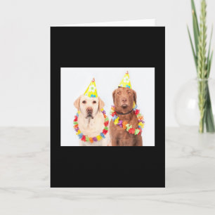 Cartes de voeux d'anniversaire 🎂 à vendre !