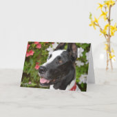 Cartes de voeux de bouteur (Fleur jaune)