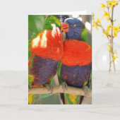 Cartes de voeux de caresse de Lorikeets (Fleur jaune)