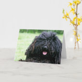 Cartes de voeux de chien de Puli (Fleur jaune)