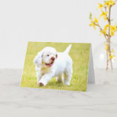 Cartes de voeux de chiot d'épagneul de Clumber (Fleur jaune)