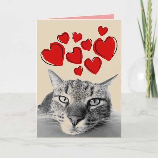 CARTES DE VOEUX DE LA SAINT-VALENTIN POUR CHAT TIG (Devant)